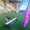 BalanceBeam Dog2