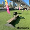 BalanceBeam Maggie4