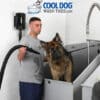 Cool Dog Hair Dryer 2