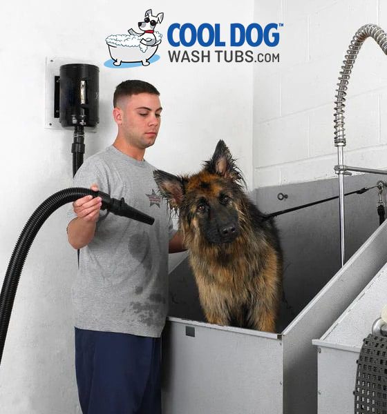 Cool Dog Hair Dryer 2