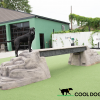 Cool Dog Turf SportsPerformance Mag