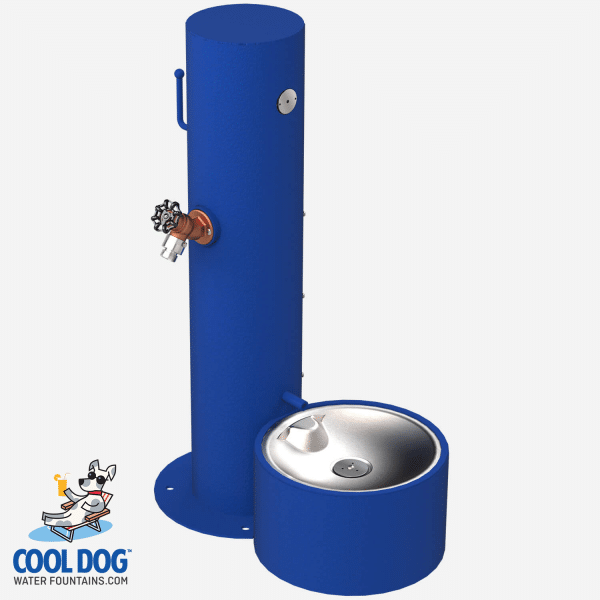 DL 1000 DWC BLU