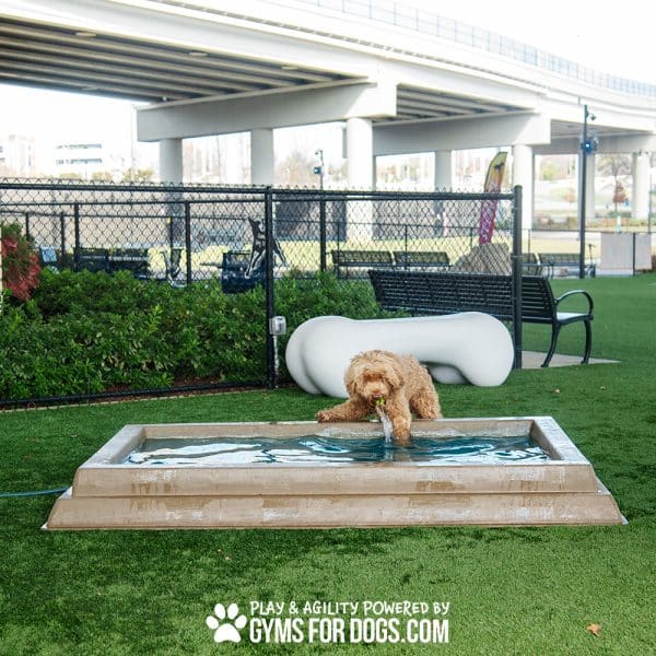 DSC 2568 - Dog Park Outfitters DSC 2568