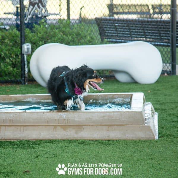 DSC 2723 - Dog Park Outfitters DSC 2723