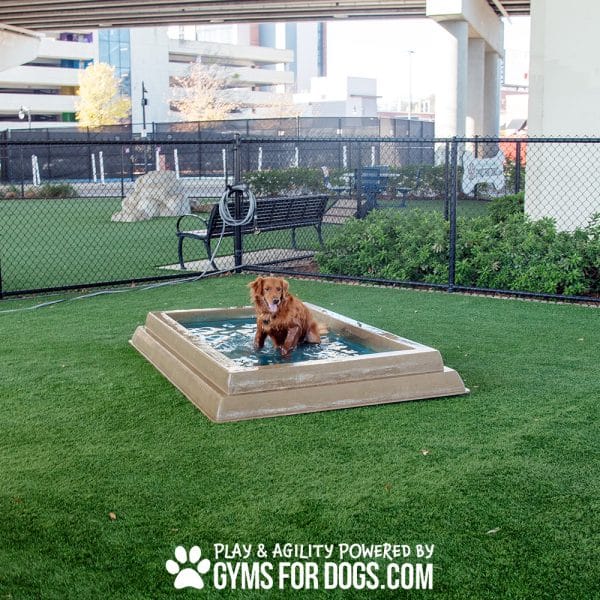 DSC 2949 - Dog Park Outfitters DSC 2949