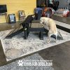Dog Playground Equipment Bridge Climb Small 02