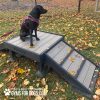 Dog Playground Equipment Bridge Climb Small 09