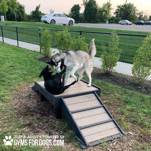 Dog Playground Equipment Bridge Climb Small 13