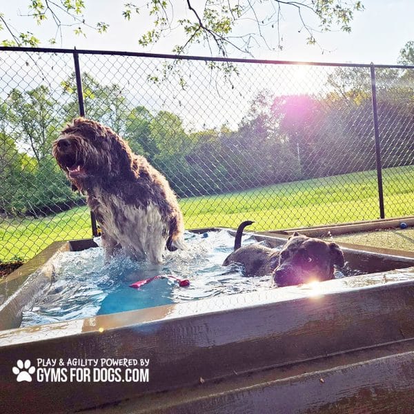 Dog Playground Equipment Cool Dog Splash Pool 102 - Dog Park Outfitters Dog Playground Equipment Cool Dog Splash Pool 102