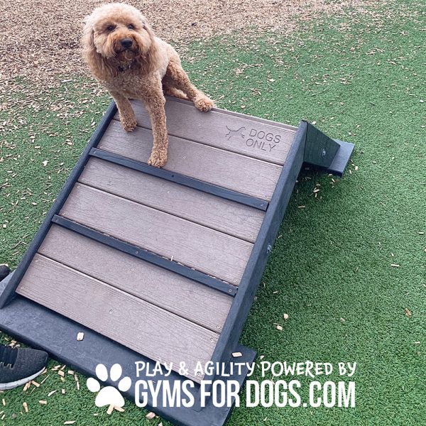 Dog Playground Equipment Mini Hill Climb LX 01