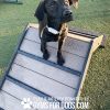 Dog Playground Equipment Mini Hill Climb LX 05
