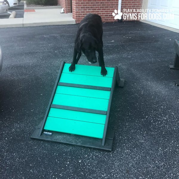 Dog Playground Equipment Mini Hill Climb LX 10