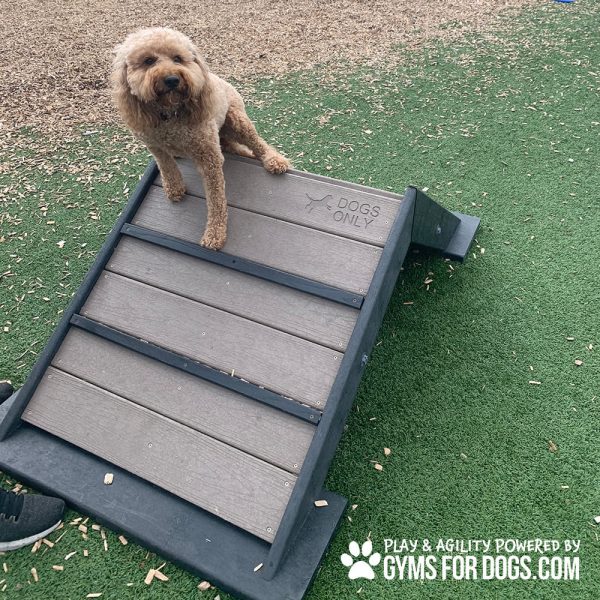 Dog Playground Equipment Mini Hill Climb LX 14