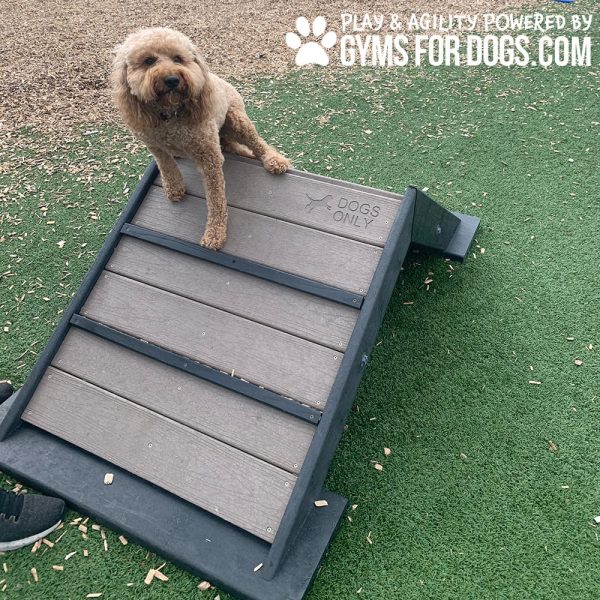 Dog Playground Equipment Mini Hill Climb LX 18