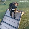 Dog Playground Equipment Mini Hill Climb LX 20