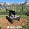 Dog Playground Equipment Training Platform SM 10