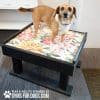 Dog Playground Equipment Training Platform SM 12