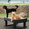 Dog Playground Equipment Training Platform SM 15