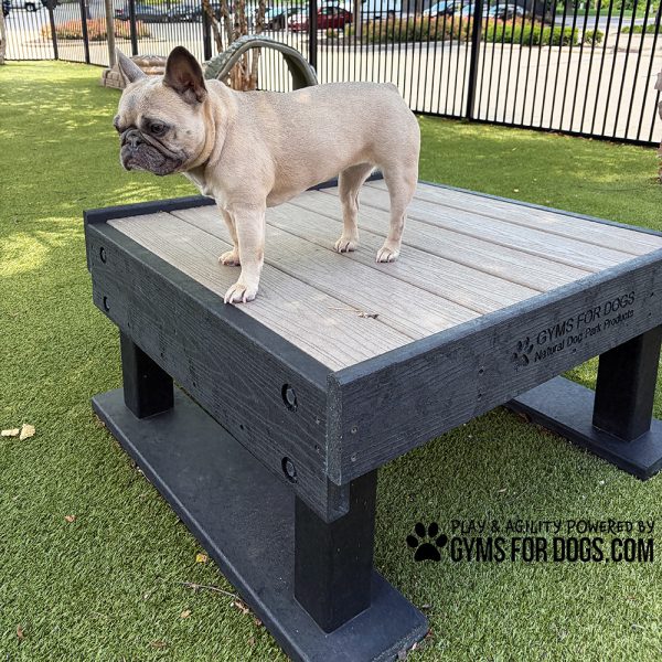 Dog Playground Equipment Training Platform SM Keystone