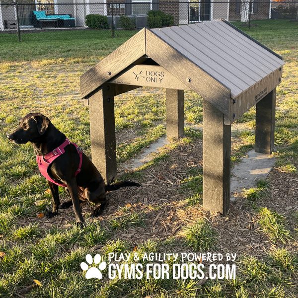 Dog Playground Equipment Tunnel House LX 02