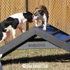 HillClimb GymsForDogs Blue