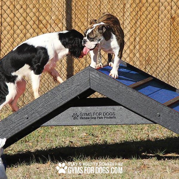 HillClimb GymsForDogs Blue