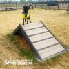 HillClimb GymsForDogs Harmony Maggie2