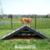 HillClimb GymsForDogs Harmony Rizzo