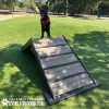 HillClimb GymsForDogs Maggie Park