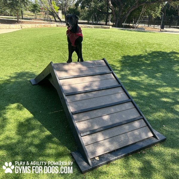 HillClimb GymsForDogs Maggie Park