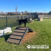 HillClimb GymsForDogs MaggieatHarmony