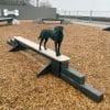 Home JumpBalanceBeam GymsForDogs