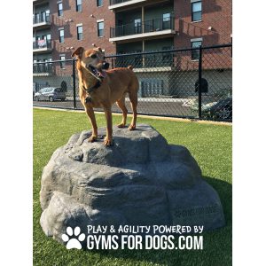 Large Luxury Boulder | Dog Park Outfitters