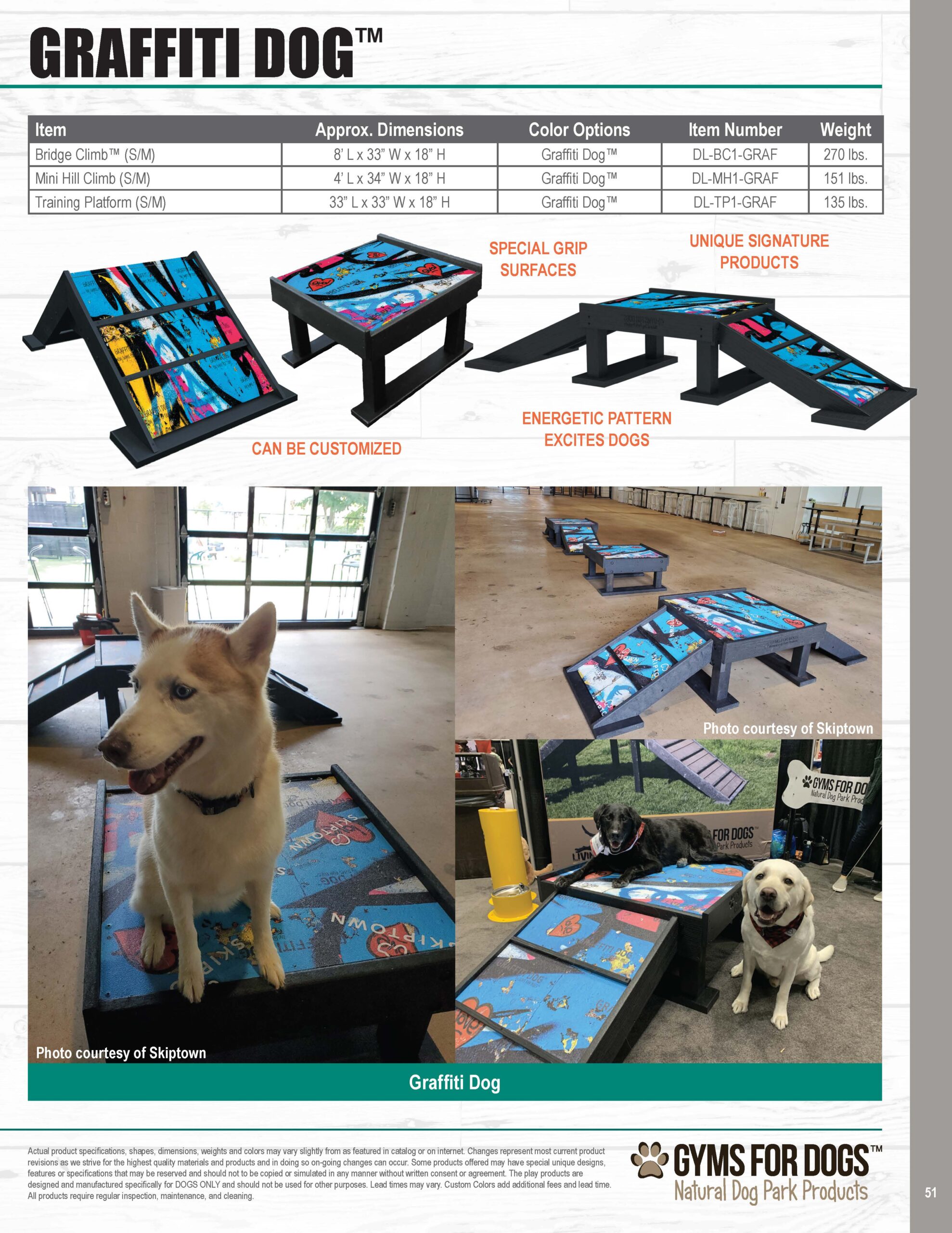 Graffiti Dog Collection | Indoor Play Series | Dog Park Outfitters