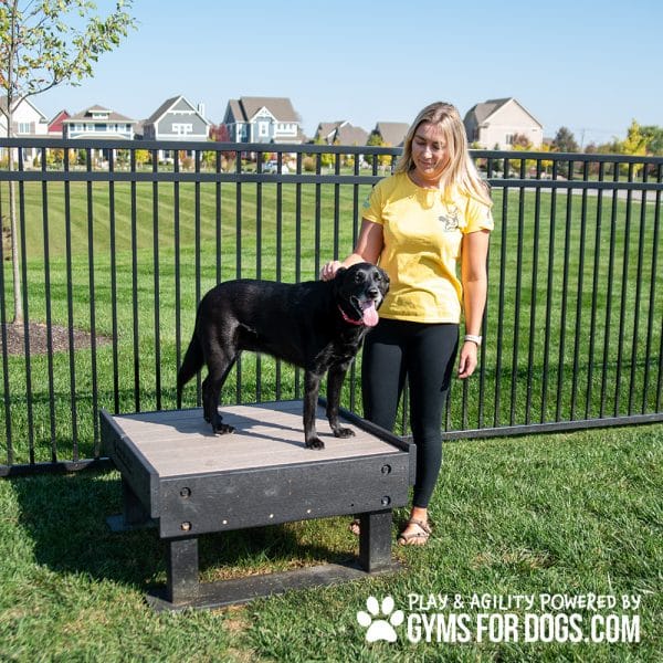 NEW Dog Playground Equipment Training Platform SM Harmony