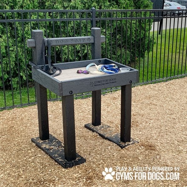 TheDogPost LeashPost CT2