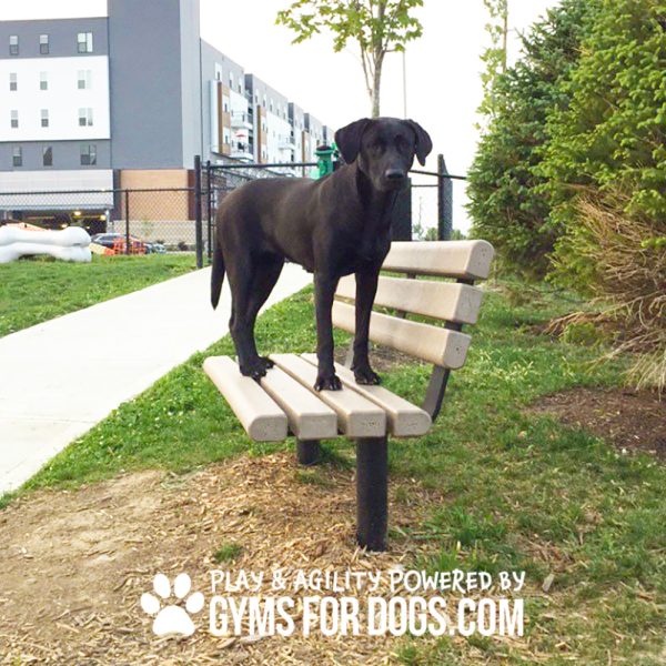 Trail Bench w Back Maggie