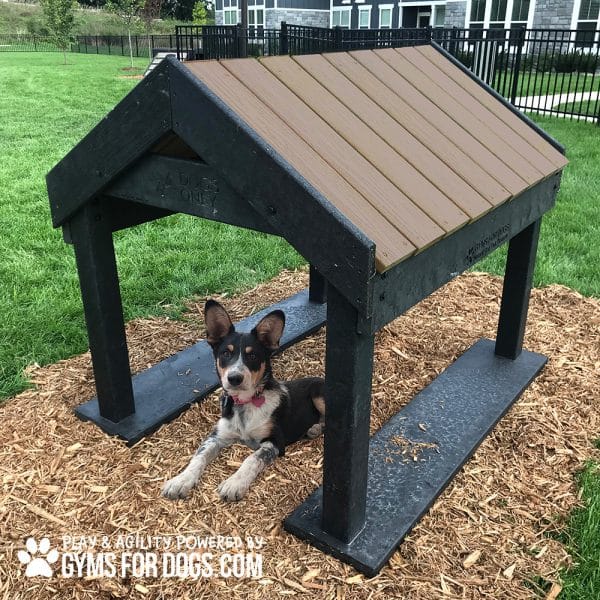 Tunnel House Nutmeg 1