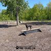 dog park equipment jump balance beam 17