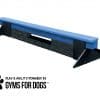 dog park equipment jump balance beam short blue