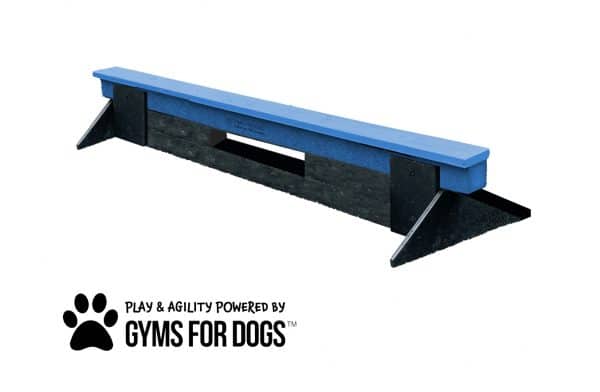 dog park equipment jump balance beam short blue