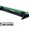 dog park equipment jump balance beam short green