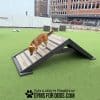 dog park products hill climb 2025 rizzo4 dog park products hill climb 2025 rizzo4