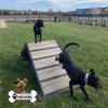 dog playground equipment hill climb 02