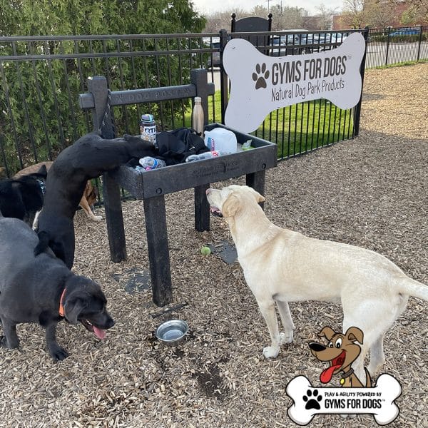 dog playground equipment leash post toy box 16