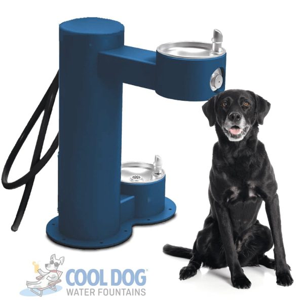 dog water fountain dl 2000 ada dwc ste