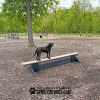 xGymsForDogs JumpBalanceBeam dp1