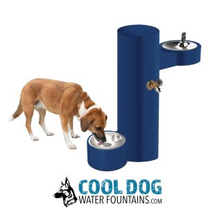 DL 2000 DWC SST blueRizzo