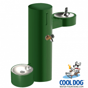 DL 2000 DWC SST GRN WM