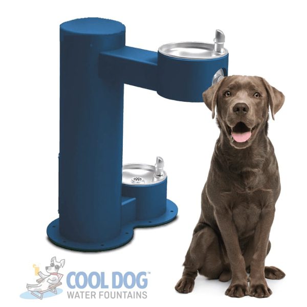 dog water fountain dl 2000 ada ste